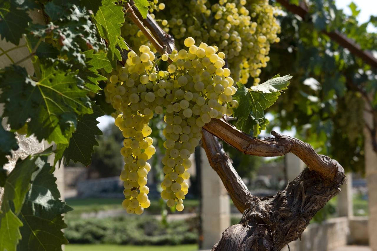 Masseria Lilei Lizzanello Εξωτερικό φωτογραφία