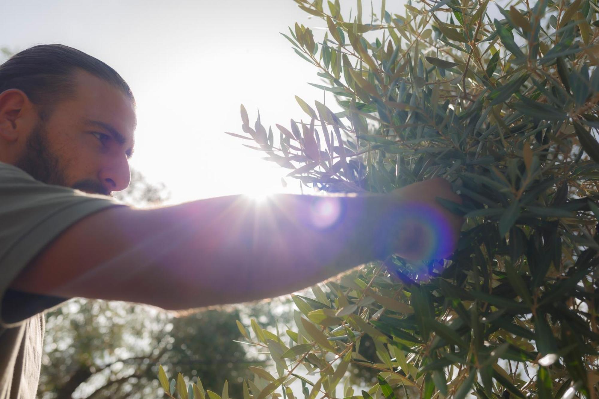 Masseria Lilei Lizzanello Εξωτερικό φωτογραφία